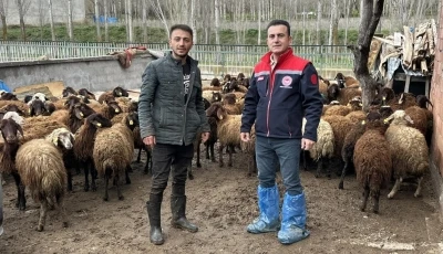 Aydıntepe&rsquo;de kırsal &uuml;retimi destekleyen projede kontroller s&uuml;r&uuml;yor
