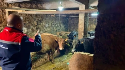 Aydıntepe&rsquo;de Kırsalda Bereket Projesi ile &uuml;retimler devam ediyor
