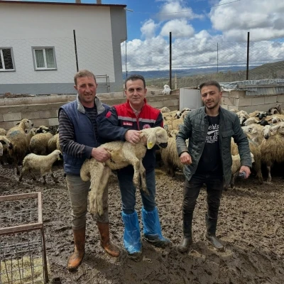 Aydıntepe&rsquo;de k&uuml;&ccedil;&uuml;kbaş hayvan tespitleri s&uuml;r&uuml;yor
