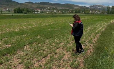 Aydıntepe&rsquo;de &uuml;r&uuml;n tespit &ccedil;alışmaları s&uuml;r&uuml;yor

