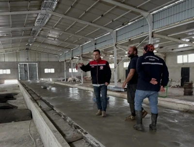 Aydıntepe&rsquo;deki hayvancılık işletmelerinde kapasite değerlendirmesi yapılıyor
