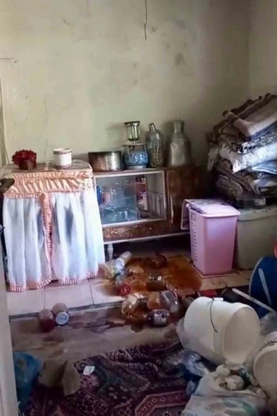 Ayılar yerleşim alanlarına indi, yöre halkı endişeli
