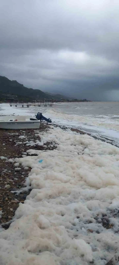 Ayvacık&rsquo;ta deniz k&ouml;p&uuml;rd&uuml;
