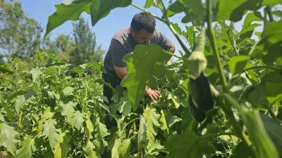 Baba mesleğini bıraktı, 25 yıldır toprağa emek veriyor
