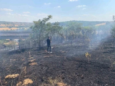 Babaeski’de ağaçlık alanda çıkan yangın söndürüldü
