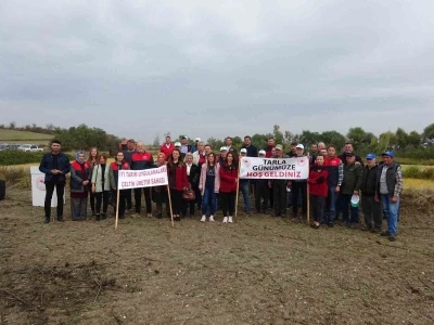 Babaeski’de Çeltik Tarla Günü etkinliği düzenlendi
