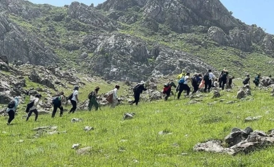 Bacavan yaylası endemik t&uuml;rlere ev sahipliği yapıyor