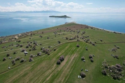 Badem &ccedil;i&ccedil;ekleri &Ccedil;arpanak Yarımadası&rsquo;nda g&ouml;rsel ş&ouml;len sundu
