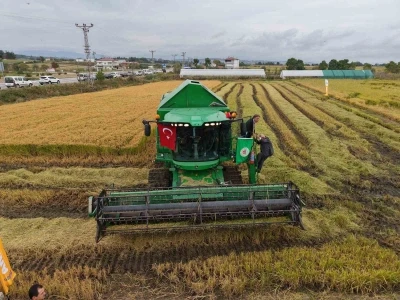 Bafra Ovası’nda çeltik hasadı başladı
