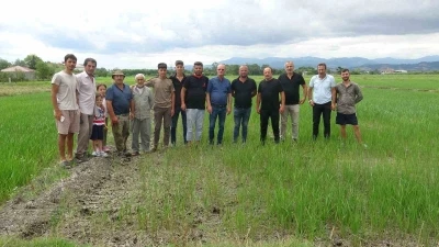 Bafralı &ccedil;eltik &uuml;reticileri: "Ekinlerimiz yanıyor"
