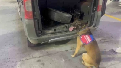 Bagaj ve kaputa gizlenen uyuşturucuyu narkotik k&ouml;peği &lsquo;Ayar&rsquo; buldu
