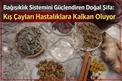 Bağışıklık Sistemini G&uuml;&ccedil;lendiren Doğal Şifa: Kış &Ccedil;ayları Hastalıklara Kalkan Oluyor