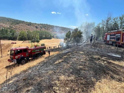 Bahçe yangını evlere sıçramadan söndürüldü
