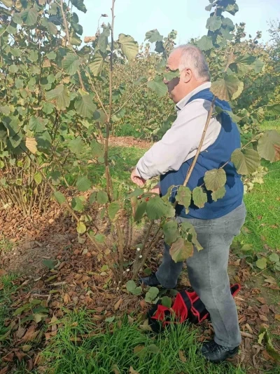 Bahçelerde toprak analizi ve zararlı tespiti
