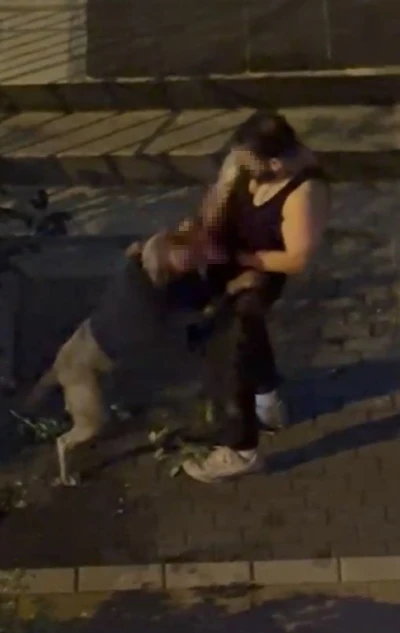 Bahçelievler’de pitbull cinsi köpek sahibine saldırdı: Dehşet anları kamerada
