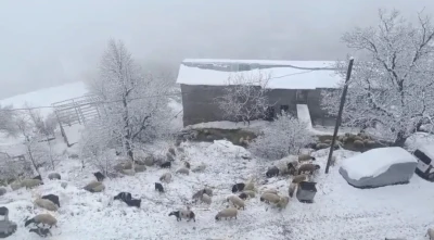 Bah&ccedil;esaray&rsquo;da kar yağışı
