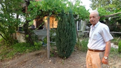 Bahçesine sürekli geyik giren vatandaş çaresiz
