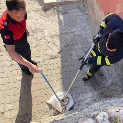 Bah&ccedil;eye Giren Yılan Korkuttu