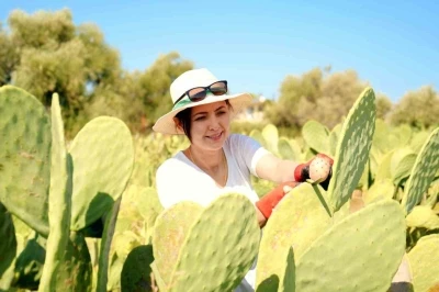 Bahçeyi kurarken alay konusu oldular, şimdi 10 ton ürünün tamamını yurt dışına veriyorlar
