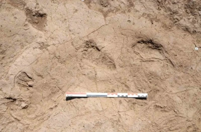 Bakan Ersoy: &quot;7 bin yıl öncesinden günümüze uzanan adımlar, Hatay’da keşfedildi&quot;
