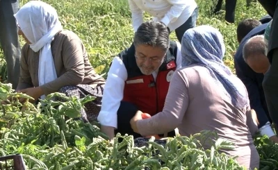Bakan Yumaklı: &quot;Türkiye domates üretiminde dünyada 3’üncü sırada&quot;
