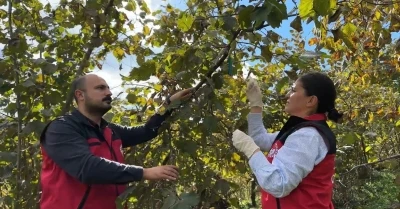 Bakan Yumaklı: &quot;Zararlıya karşı 1 milyon 156 bin doğal düşman samuray arısı salımı yaptık&quot;
