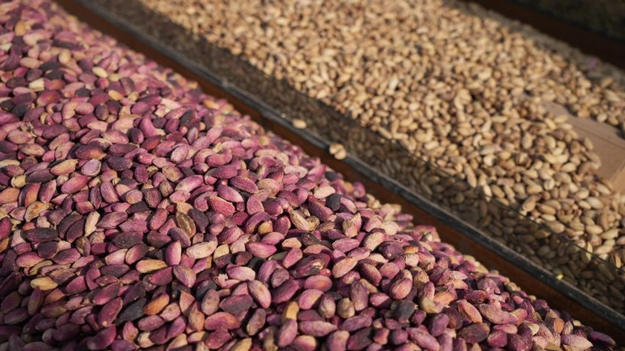 Bakanlık Antep Fıstığına İthalat İzninin Şartlarını Açıkladı