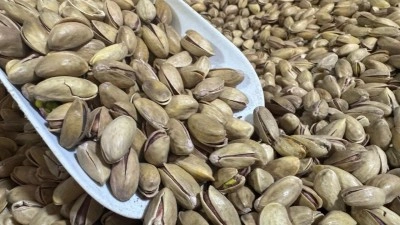 Bakanlıktan fıstık sektörüne denetleme