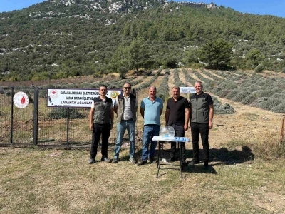 Bakımını yapan kullanım hakkını elde edecek
