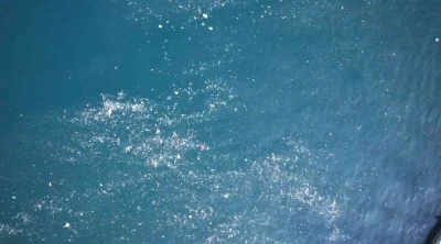 Balat sahilinde olta atan balıkçılar deniz yüzeyinde oluşan kirlilikten şikayetçi
