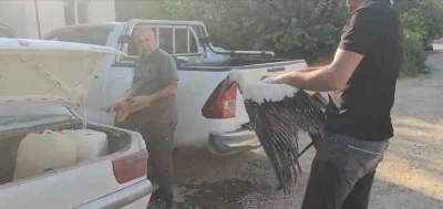 Balçığa saplanan leyleğin imdadına balıkçılar yetişti
