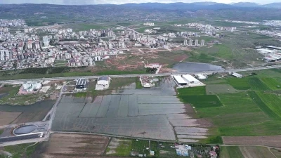 Bali değil Sivas, pirin&ccedil; değil hububat tarlası
