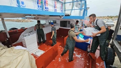 Balık fiyatları 1 ay sonra ucuzlayacak
