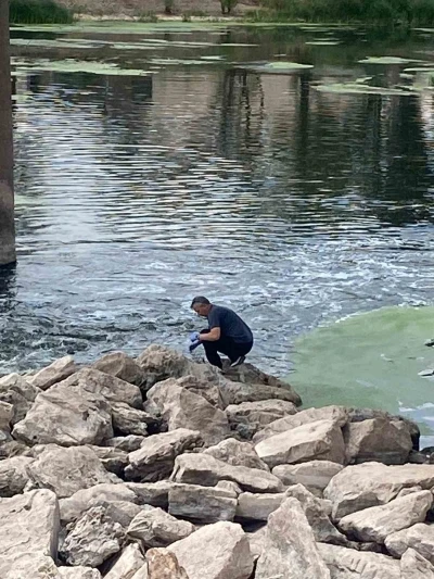 Balık ölümlerinin nedeni aşırı sıcaklar
