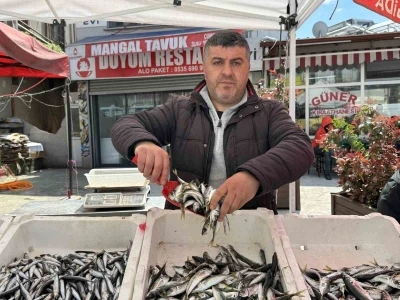 Balık tezgahlarında kıyı balık&ccedil;ılığı mesaisi
