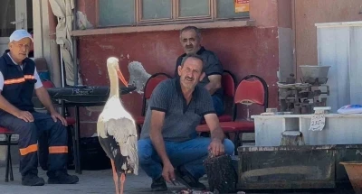 Balık&ccedil;ı Ahmet ile leyleğin 10 yıllık kahvehane randevusu
