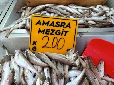 Balıkçılar palamut için &quot;kestane karası&quot;nı bekliyor
