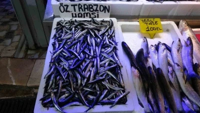 Balıkçılardan &quot;Patlatılan insansız deniz araçları hamsiyi kaçırttı&quot; iddiası
