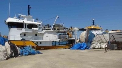 Balık&ccedil;ıların yeni sezonda umudu palamut
