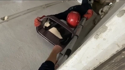 Balıkesir’de apartman boşluğuna düşen kedi yaralı olarak kurtarıldı
