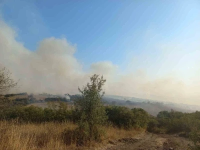 Balıkesir’de arazi yangını
