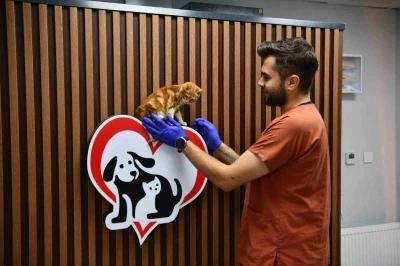 Balıkesir’de can dostlar Büyükşehir eliyle güvende
