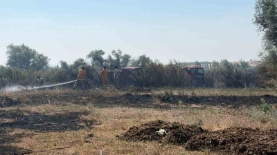 Balıkesir&rsquo;de iki ayrı il&ccedil;ede &ccedil;ıkan arazi yangınları kontrol altına alındı
