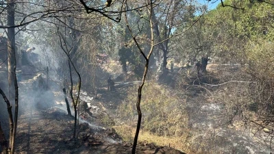 Balıkesir’de kırsal alanda çıkan yangın kısa sürede söndürüldü
