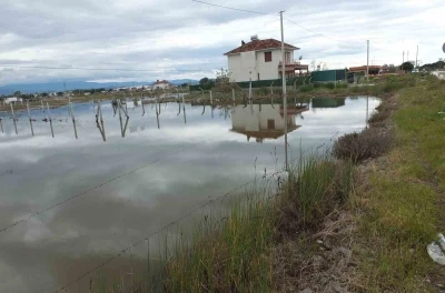 Balıkesir&rsquo;de nisan yağmurları zeytincileri sevindirdi
