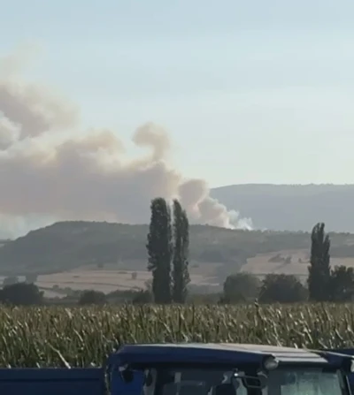 Balıkesir’de orman yangını
