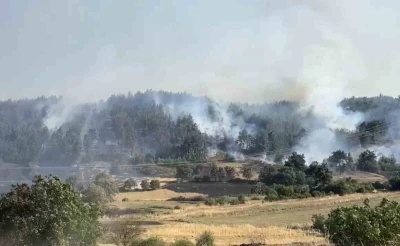 Balıkesir&rsquo;de orman yangınına m&uuml;dahale s&uuml;r&uuml;yor
