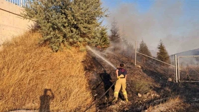 Balıkesir’de otoyol kenarında ot yangını korkuttu
