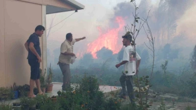 Balıkesir’de sazlık yangını 995 haneli siteyi duman altından bıraktı
