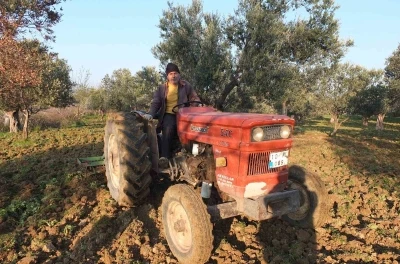 Balıkesir&rsquo;de zeytinliklerde s&uuml;r&uuml;m başladı
